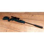 Gamo IGT Swarm Magnum Pro 10X Gen3i - Image 4